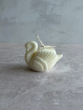 S CISNE