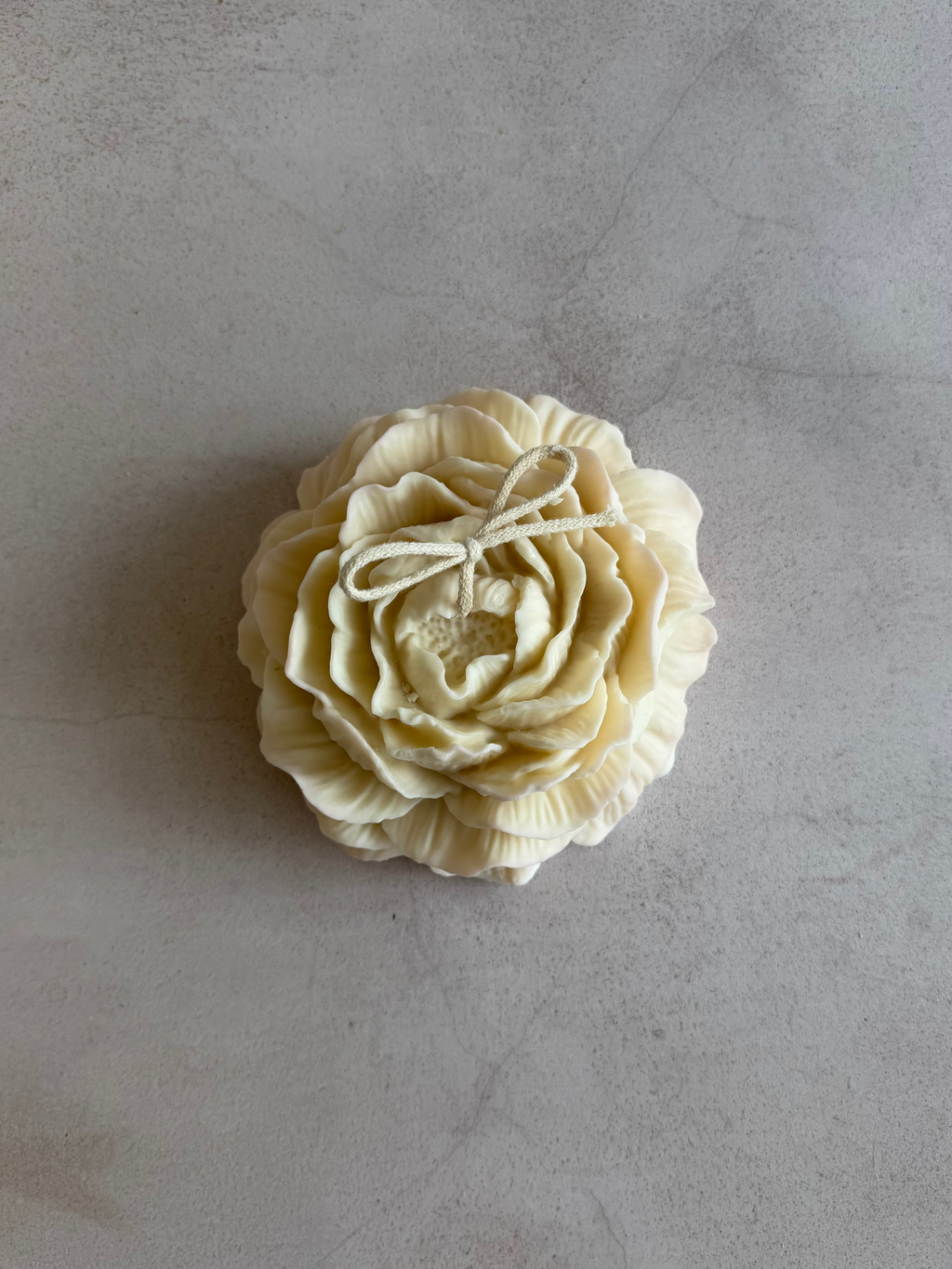 XL ROSE 2
