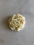 XL ROSE 2