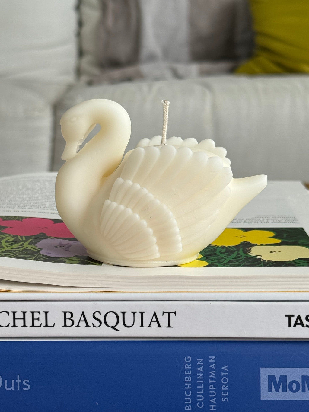 S CISNE